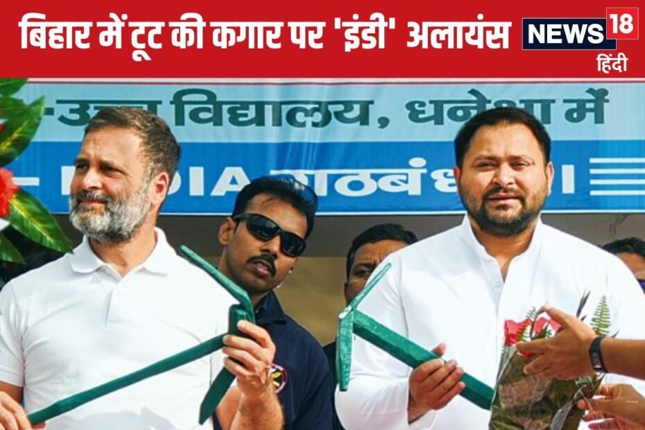 दिल्ली के चुनावी रण में उतरेगी लालू की पार्टी? तेजस्वी के बयान बढ़ा दिया पारा