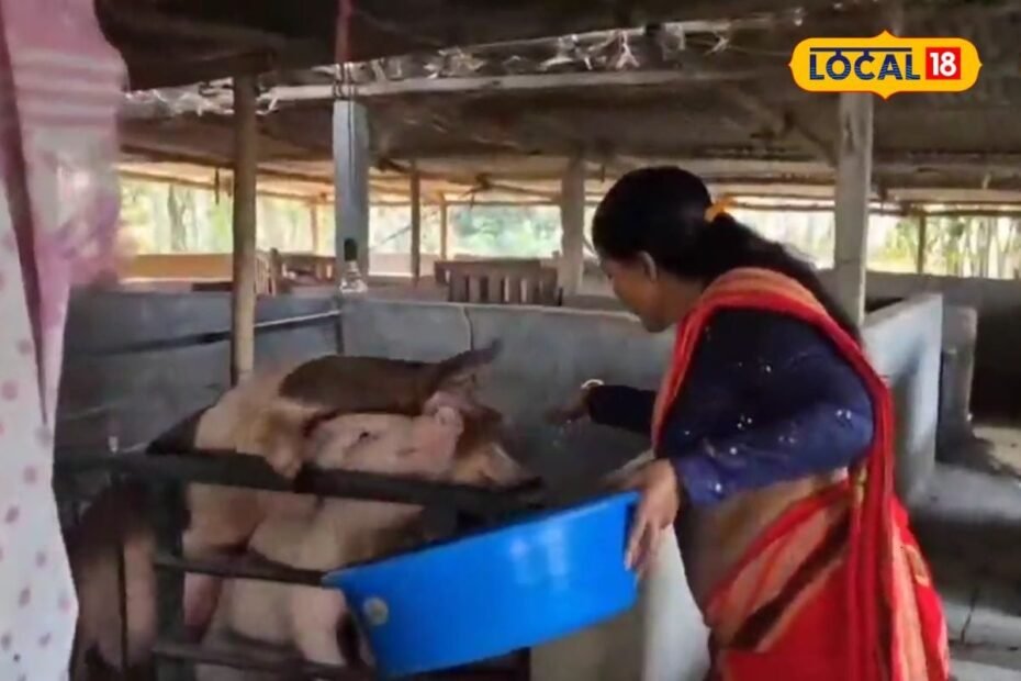 इस महिला ने सुअर और मुर्गी पालन से बदली किस्मत, अब हर साल करोड़ों का सपना